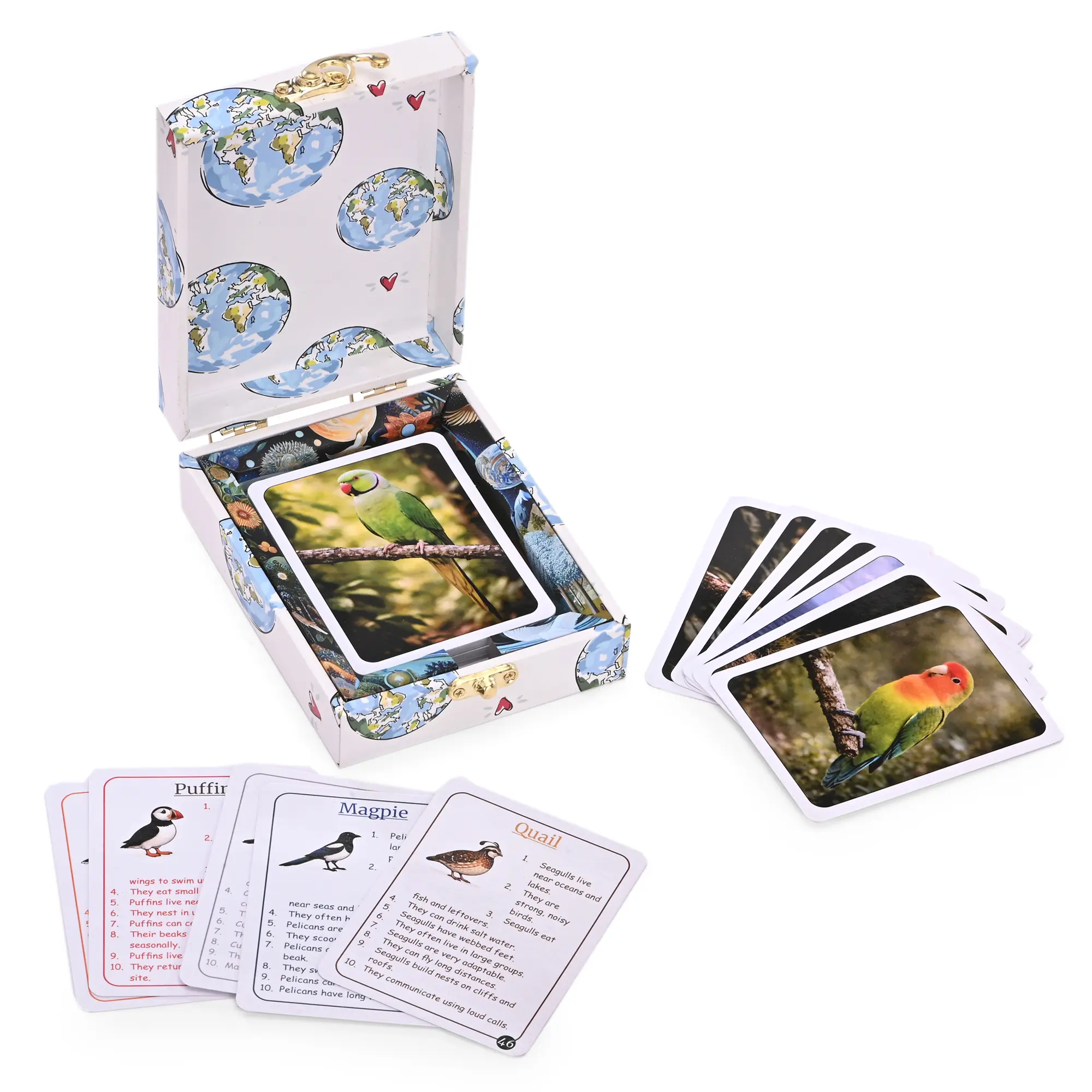 Birds of the World Flash Cards - Image 2