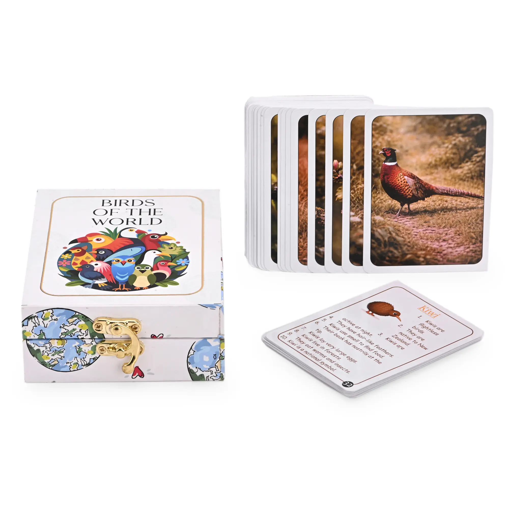 Birds of the World Flash Cards - Image 3