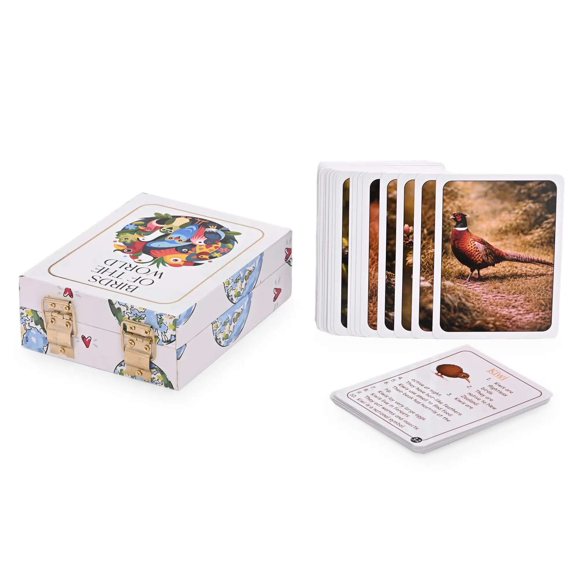 Birds of the World Flash Cards - Image 8