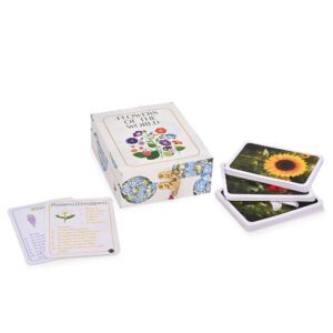 flowers of the world flash cards – 53 flower learning cards in premium wooden box