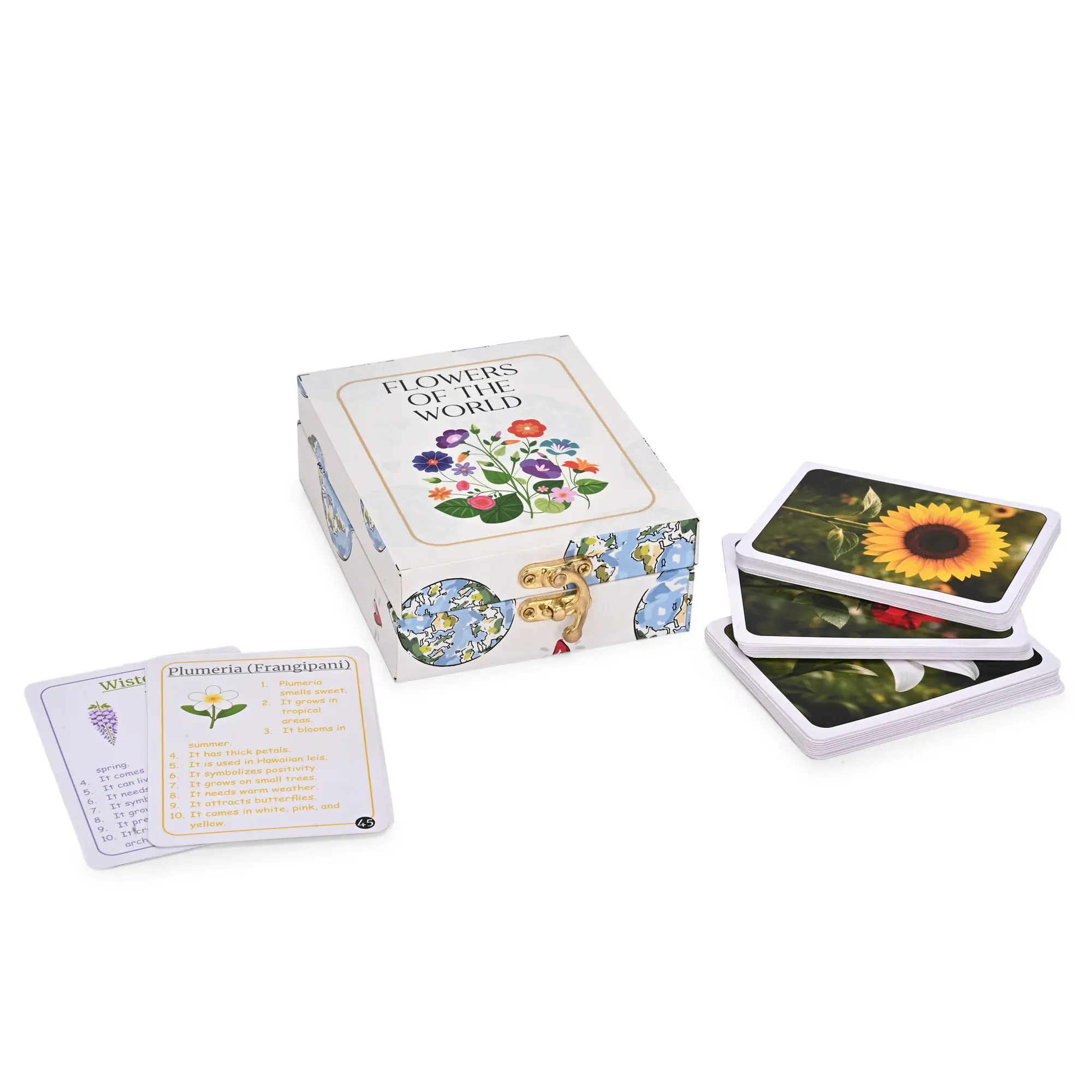 Flowers of the World Flash Cards