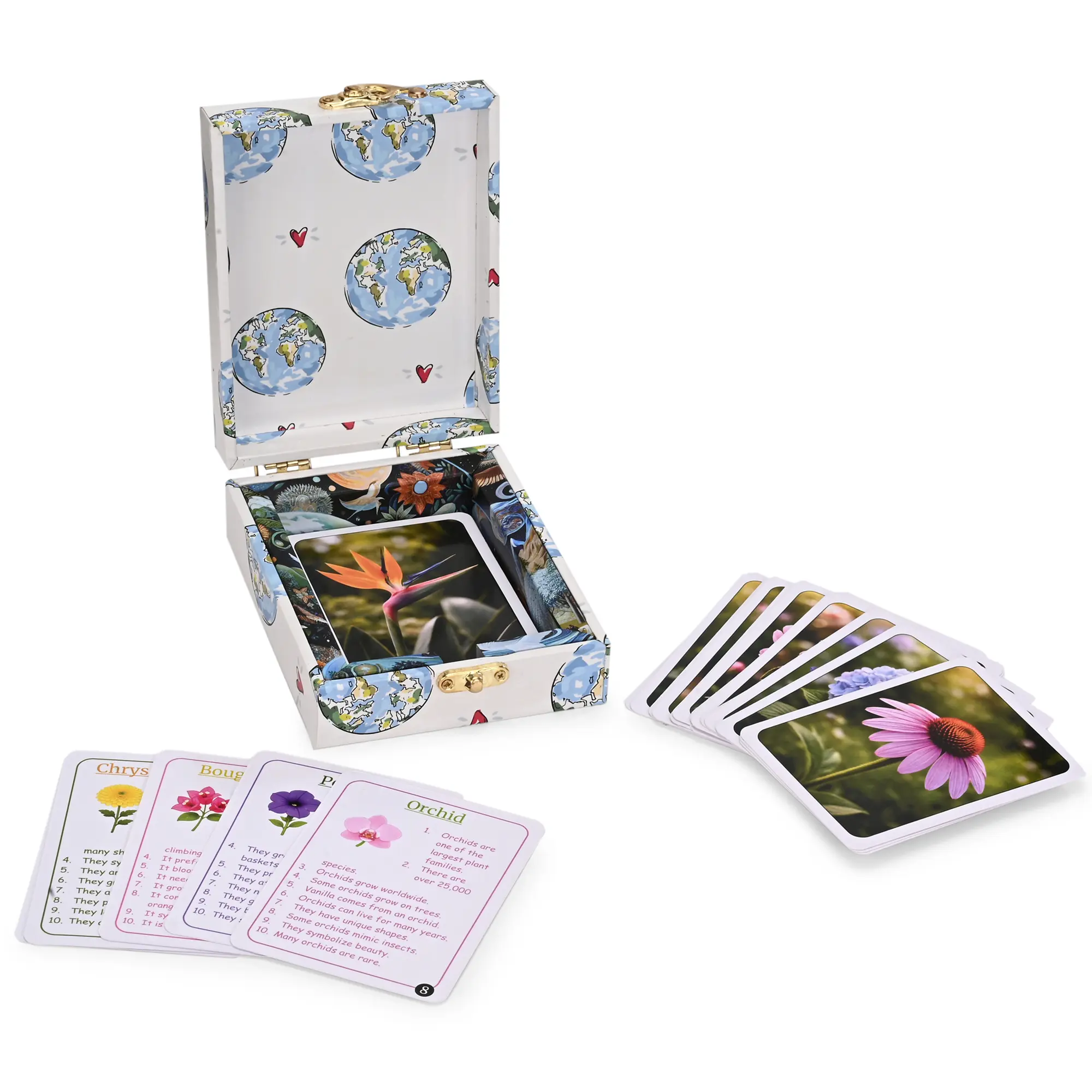 Flowers of the World Flash Cards - Image 2
