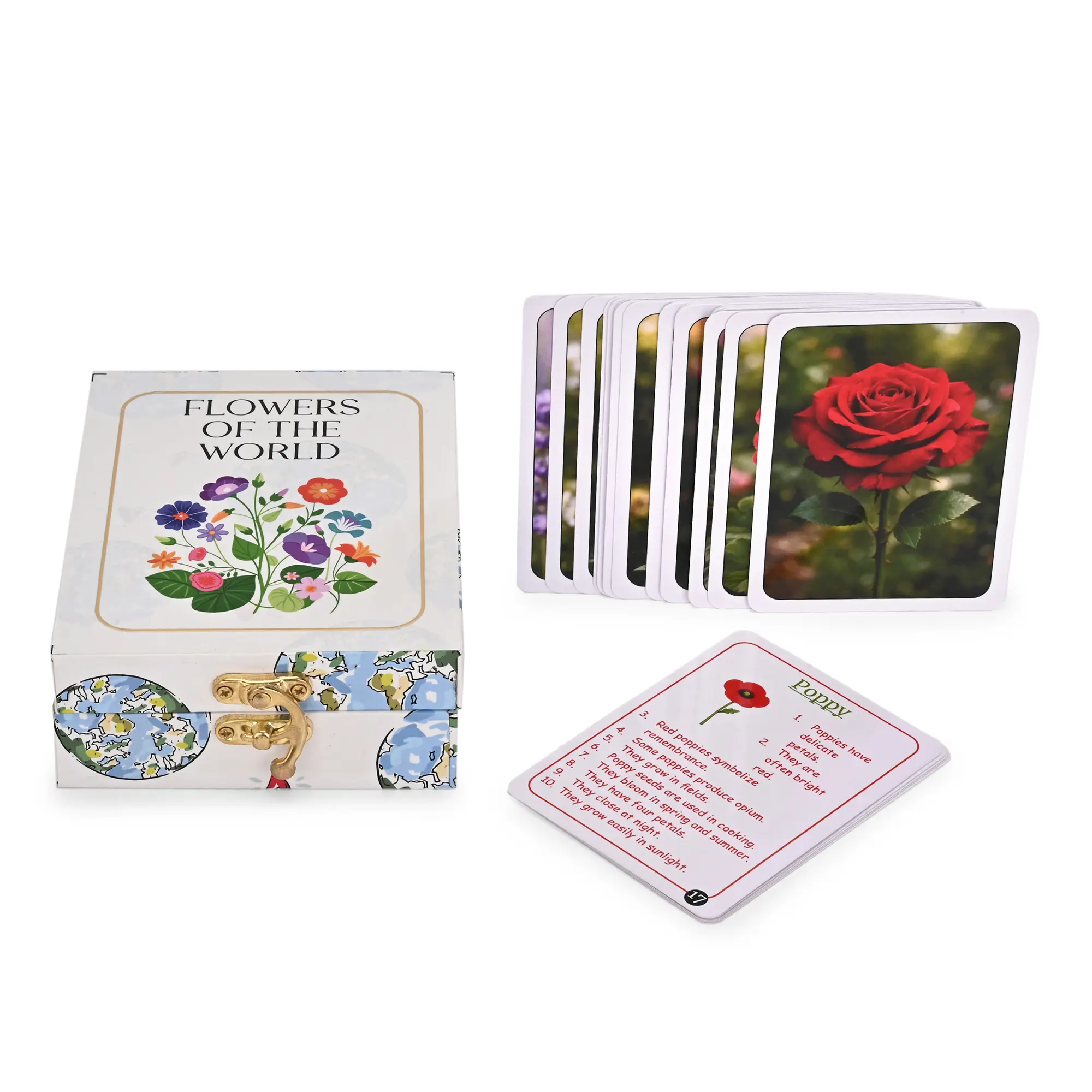 Flowers of the World Flash Cards - Image 3