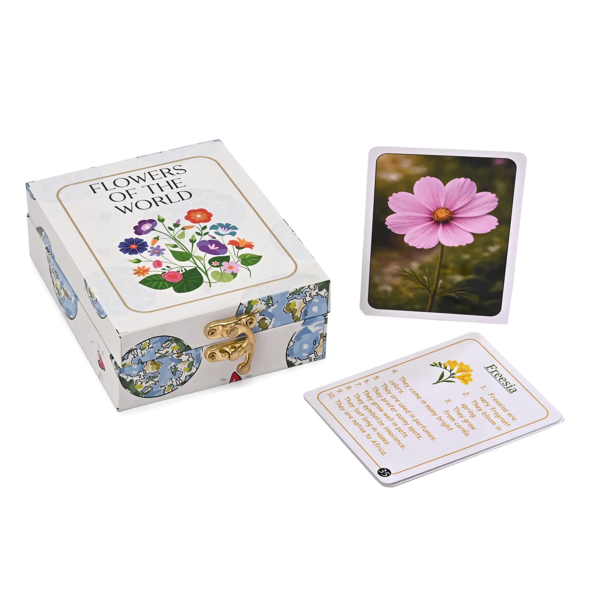 Flowers of the World Flash Cards - Image 4