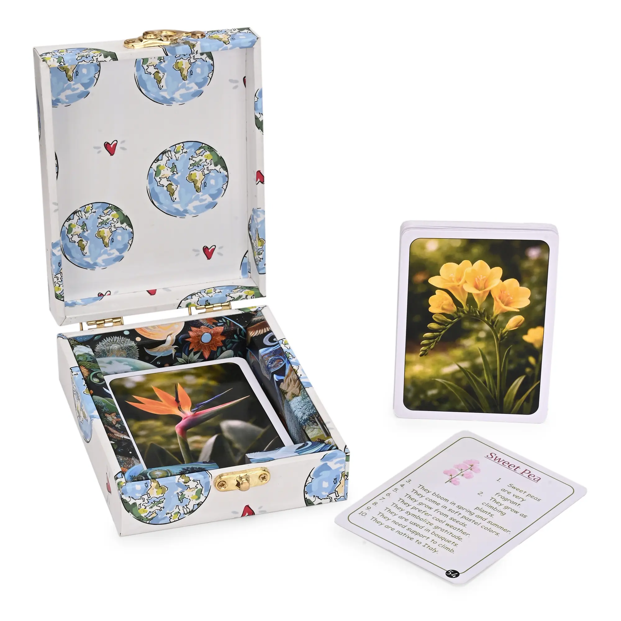 Flowers of the World Flash Cards - Image 6