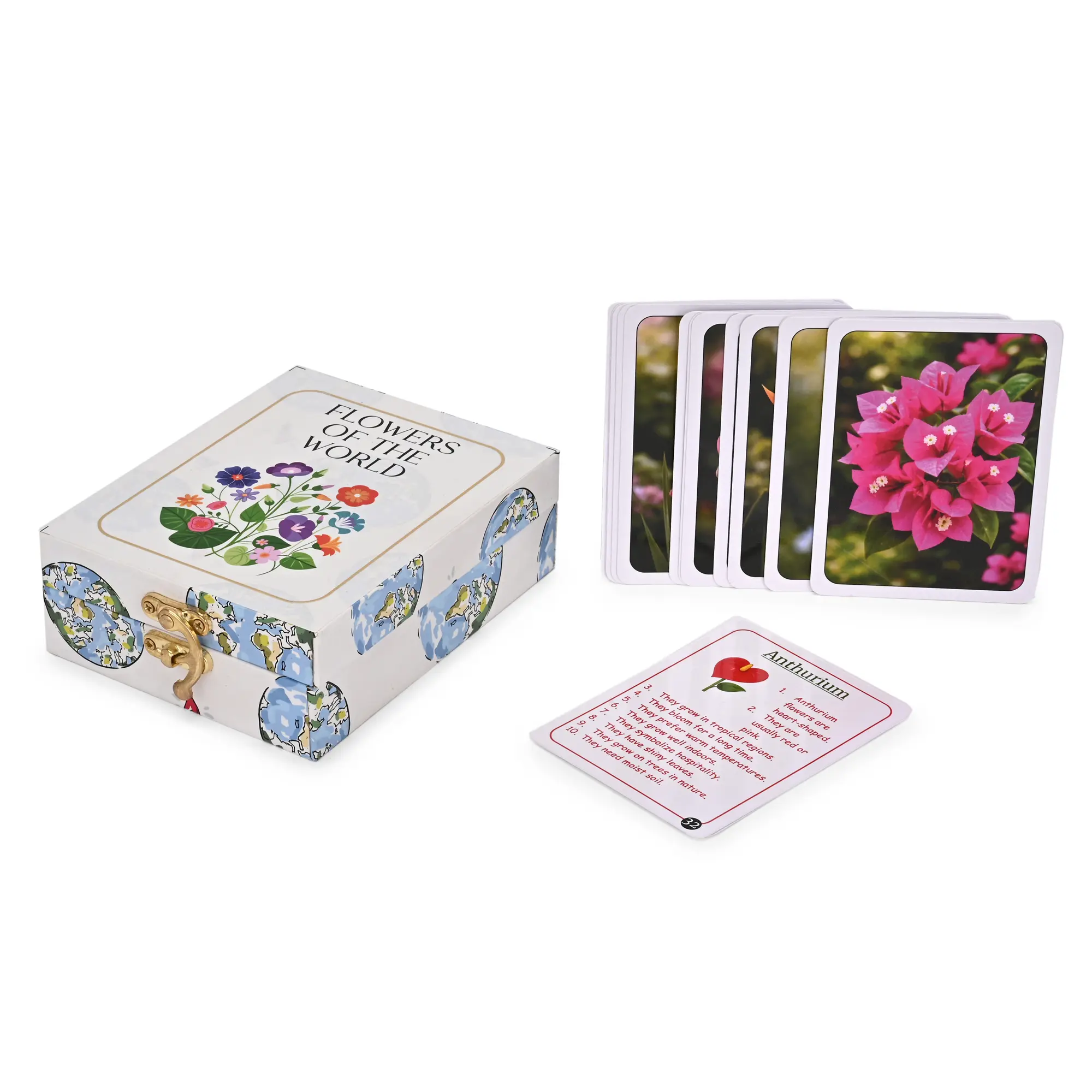 Flowers of the World Flash Cards - Image 8