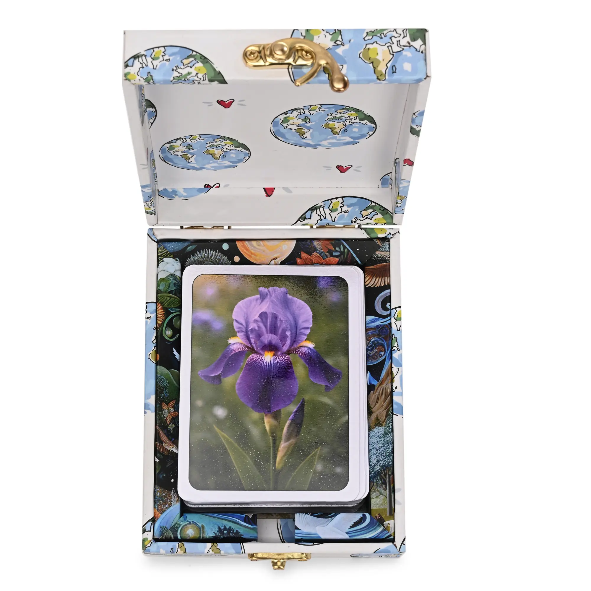 Flowers of the World Flash Cards - Image 9